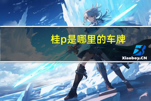 桂p是哪里的车牌