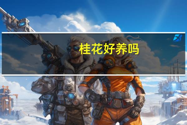 桂花好养吗