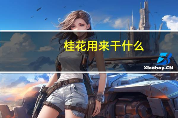 桂花用来干什么