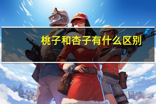 桃子和杏子有什么区别