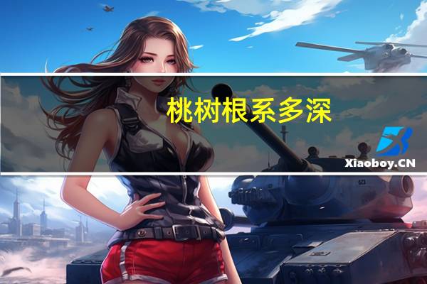 桃树根系多深