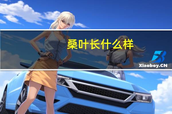桑叶长什么样