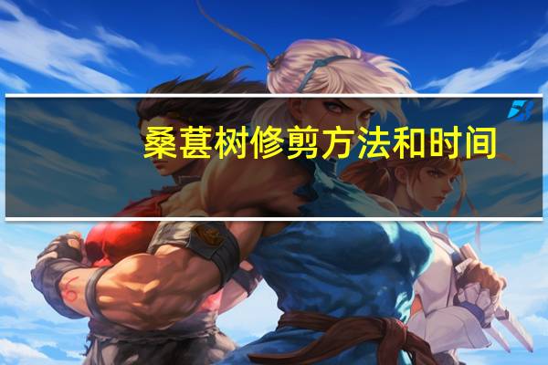 桑葚树修剪方法和时间
