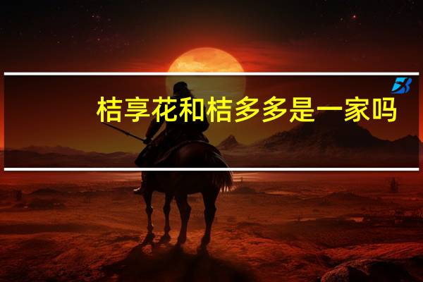 桔享花和桔多多是一家吗