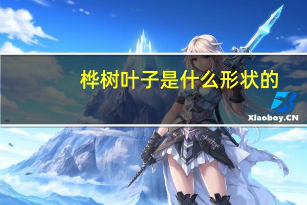 桦树叶子是什么形状的