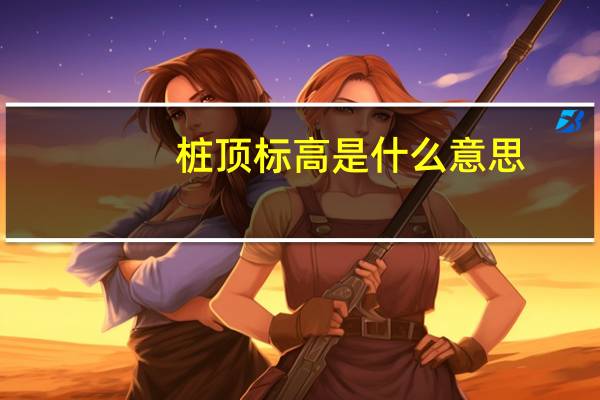 桩顶标高是什么意思