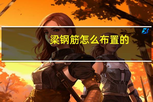 梁钢筋怎么布置的