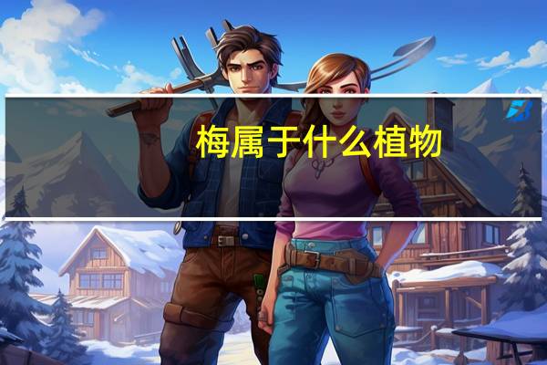 梅属于什么植物