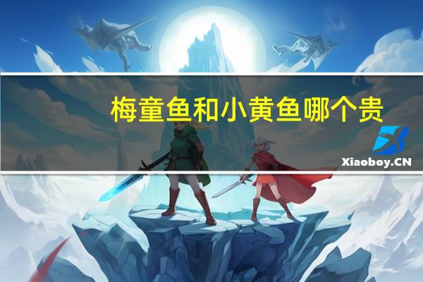 梅童鱼和小黄鱼哪个贵