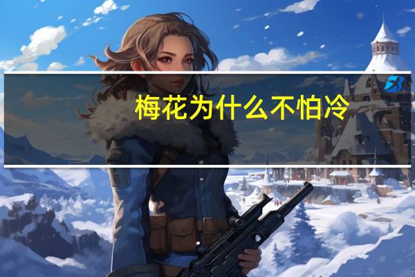 梅花为什么不怕冷