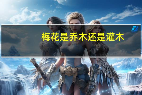 梅花是乔木还是灌木