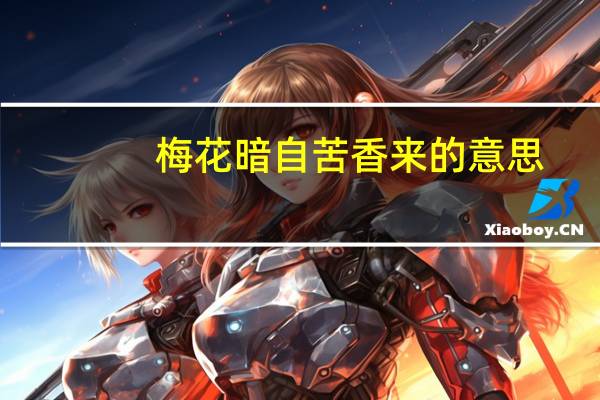 梅花暗自苦香来的意思
