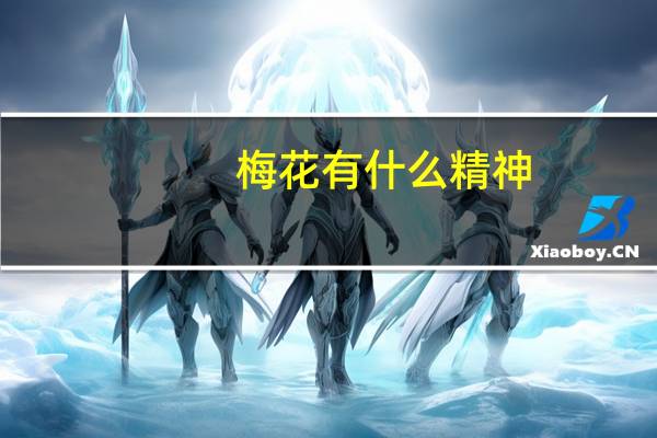 梅花有什么精神