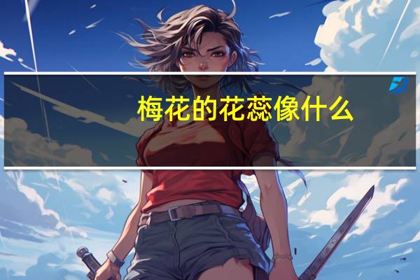 梅花的花蕊像什么