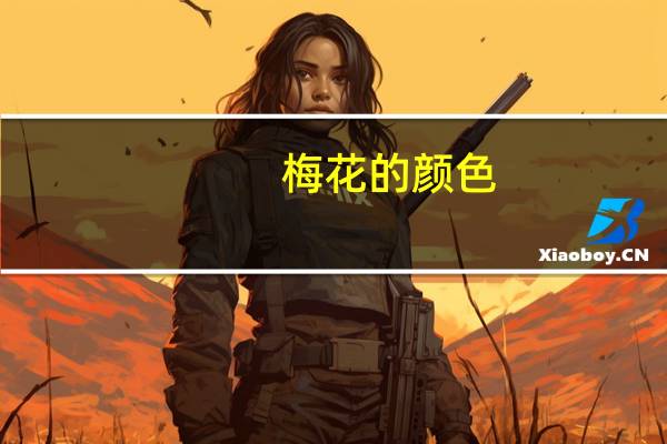 梅花的颜色