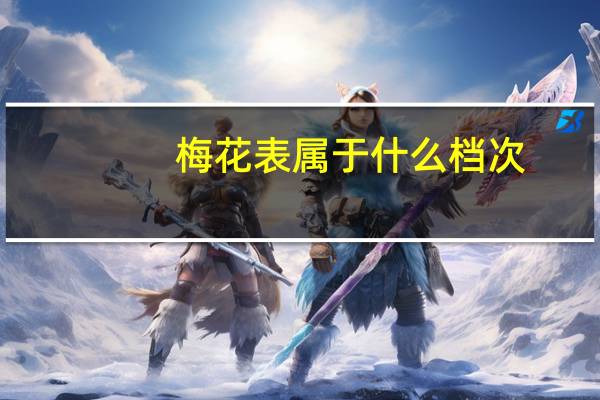 梅花表属于什么档次