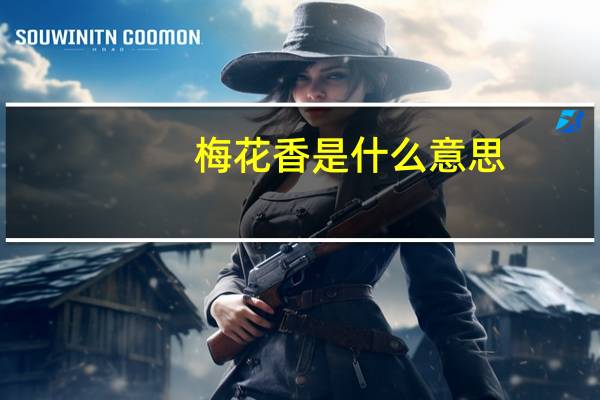 梅花香是什么意思