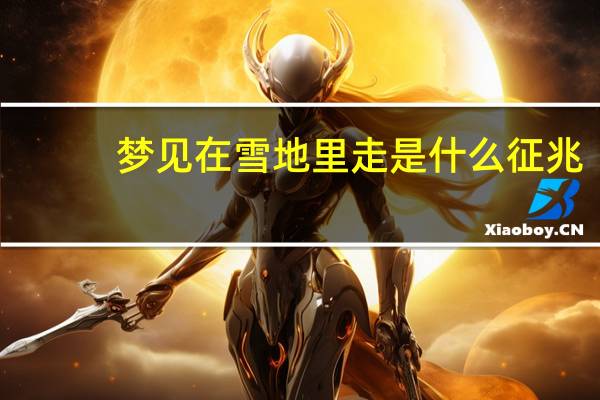 梦见在雪地里走是什么征兆