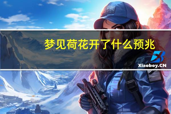 梦见荷花开了什么预兆