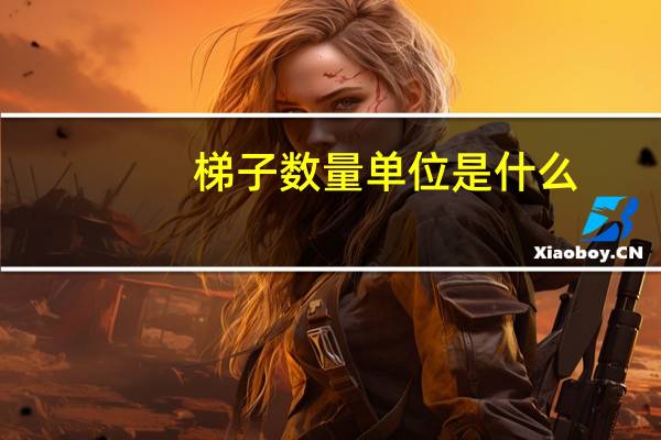 梯子数量单位是什么