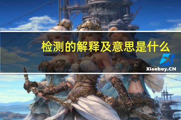 检测的解释及意思是什么