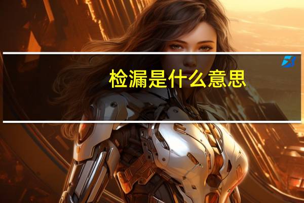 检漏是什么意思