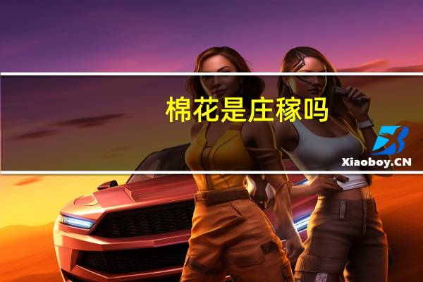 棉花是庄稼吗