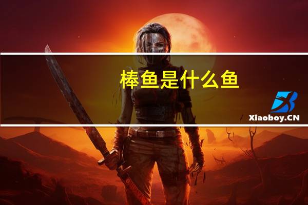 棒鱼是什么鱼