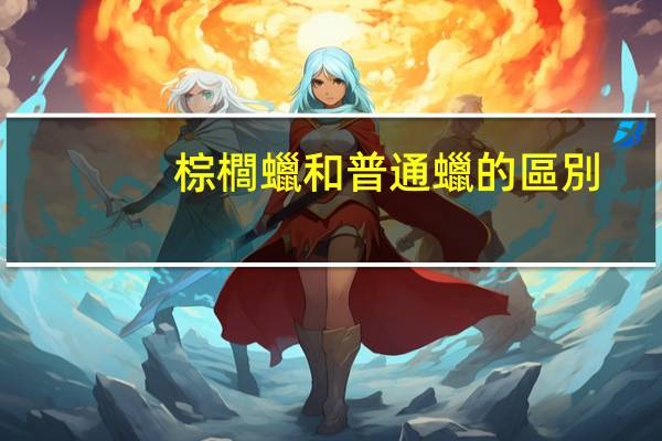 棕櫚蠟和普通蠟的區別