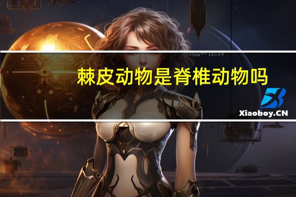 棘皮动物是脊椎动物吗