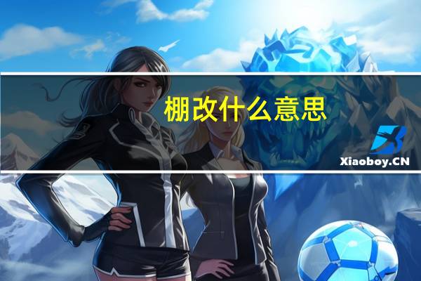 棚改什么意思