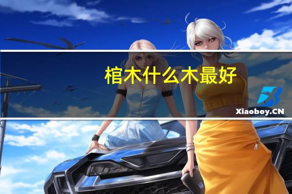 棺木什么木最好