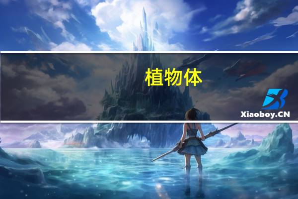 植物体,动物体的结构层次