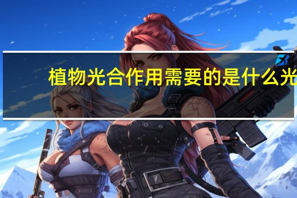植物光合作用需要的是什么光