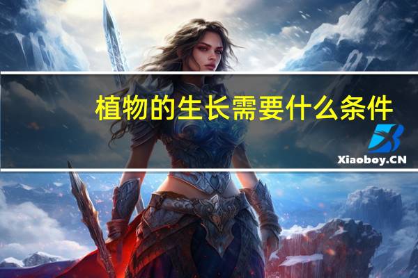 植物的生长需要什么条件