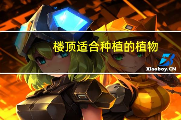 楼顶适合种植的植物
