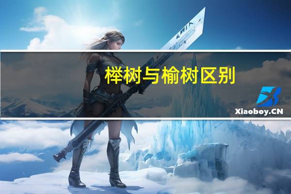 榉树与榆树区别