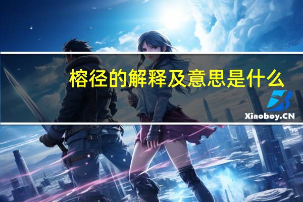 榕径的解释及意思是什么