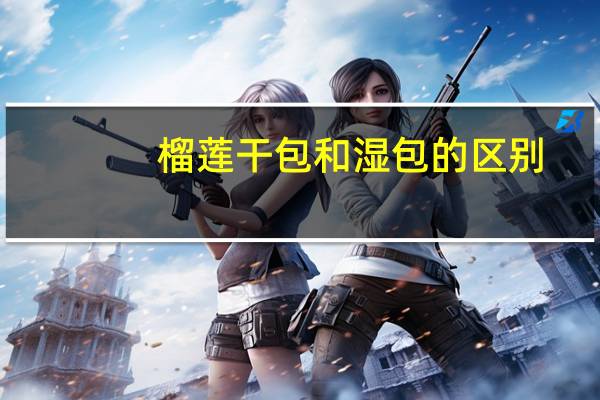 榴莲干包和湿包的区别