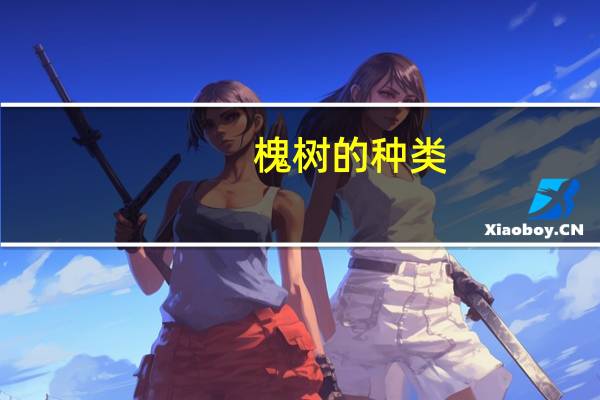 槐树的种类