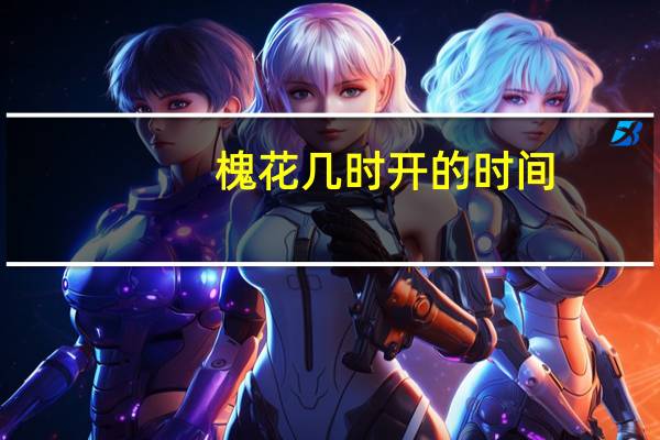 槐花几时开的时间