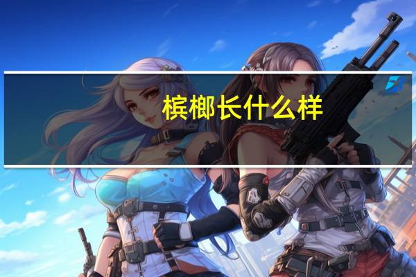 槟榔长什么样