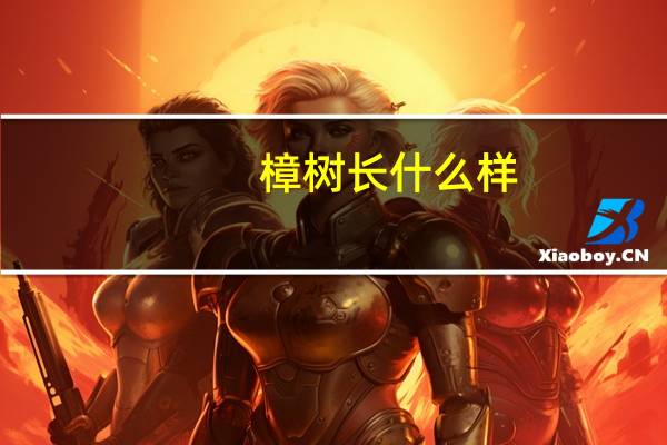 樟树长什么样