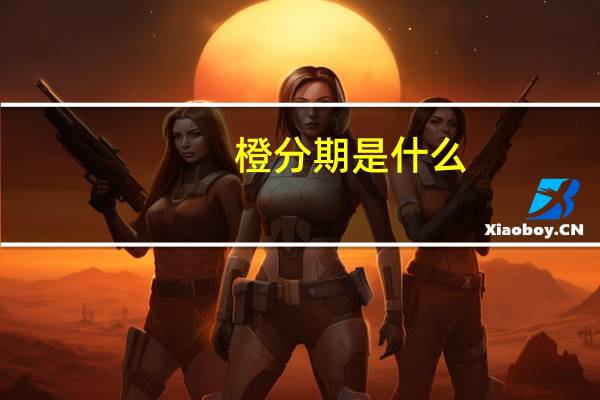 橙分期是什么