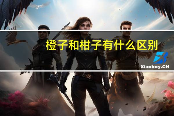 橙子和柑子有什么区别