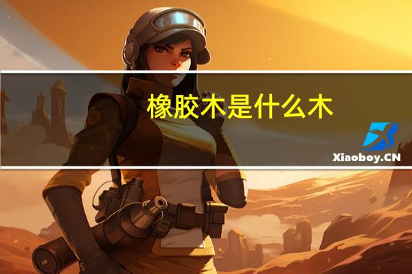 橡胶木是什么木