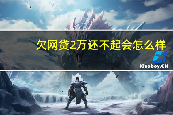 欠网贷2万还不起会怎么样
