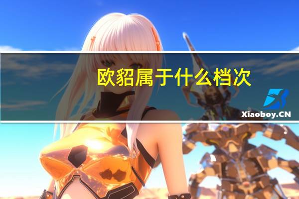 欧貂属于什么档次