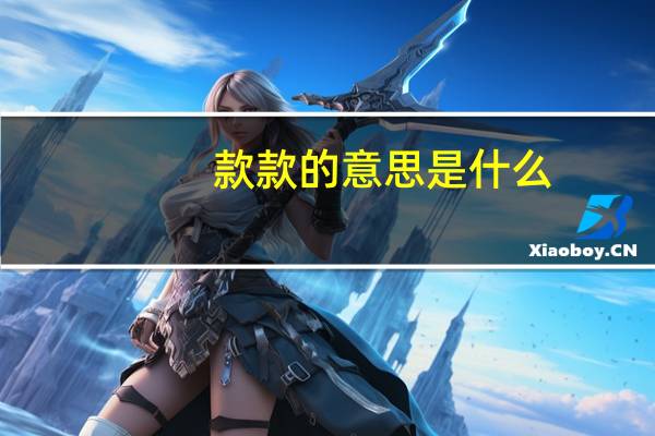 款款的意思是什么