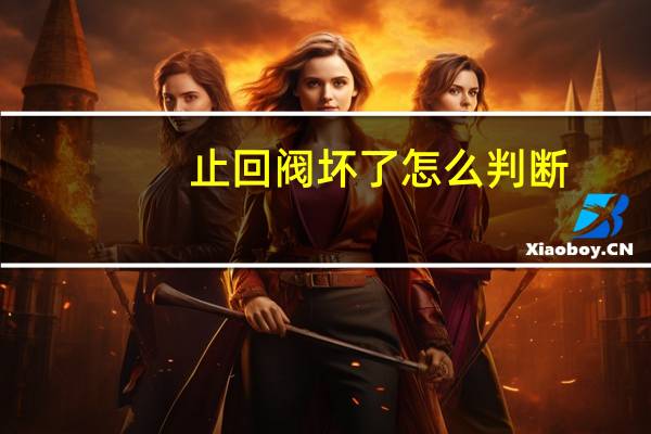止回阀坏了怎么判断
